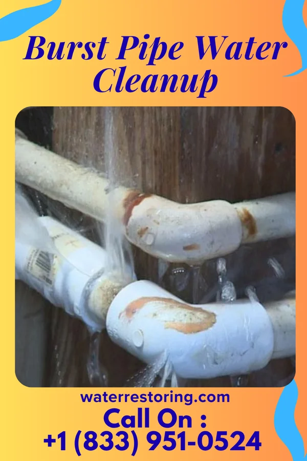 Burst Pipe Water Cleanup in Chauncey, OH