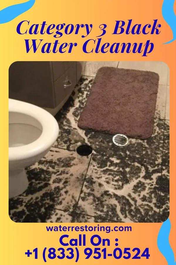 Category 3 Black Water Cleanup in Chauncey, OH
