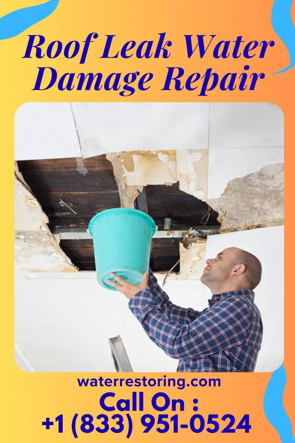 Roof Leak Water Damage Repair in Chauncey, OH