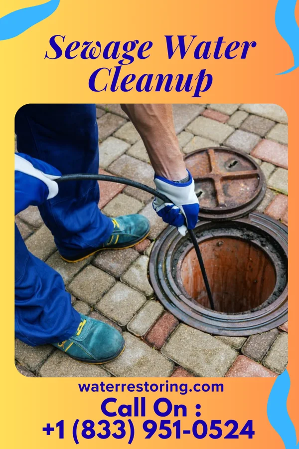 Sewage Water Cleanup in Chauncey, OH